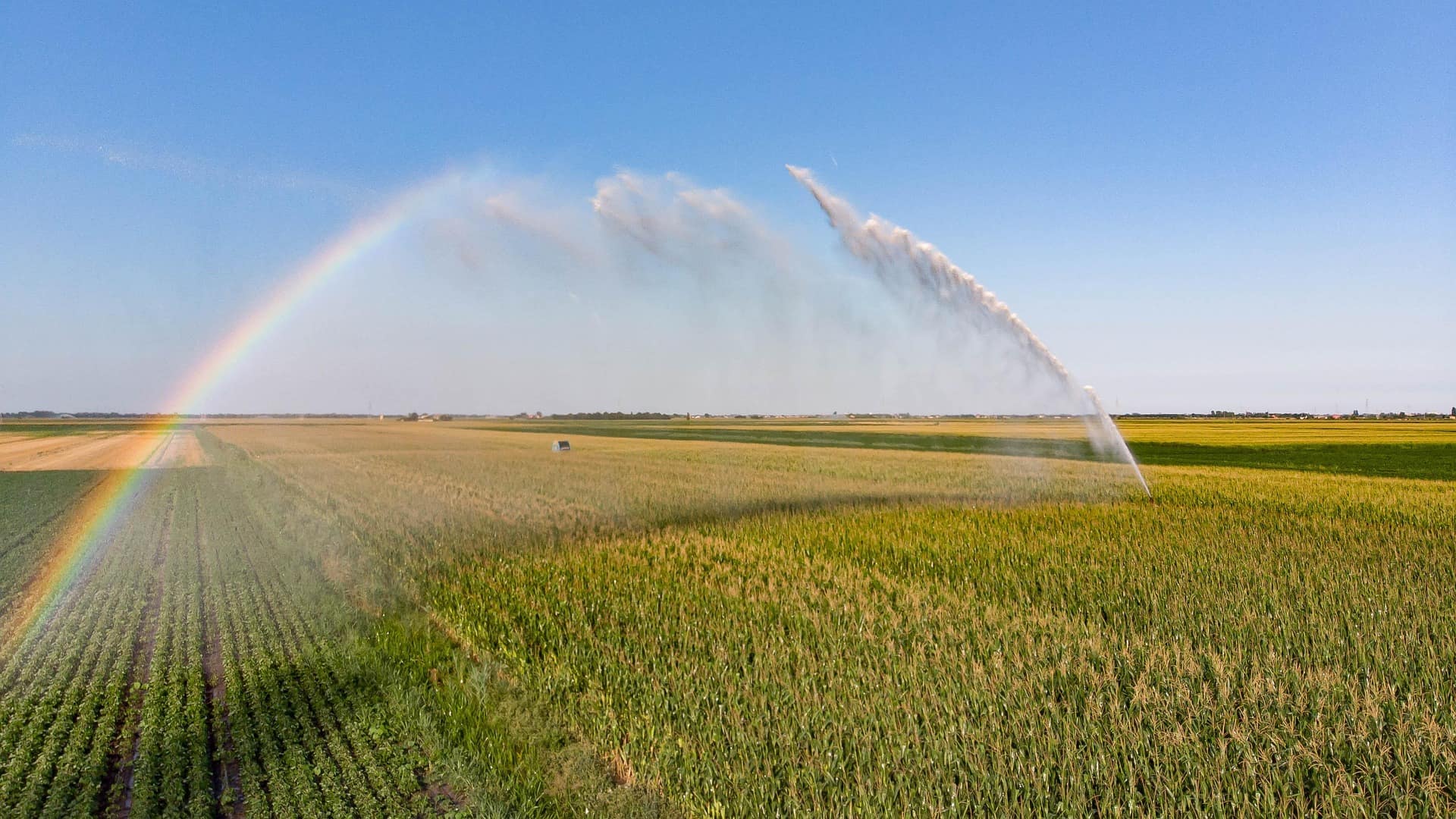 Sistema pivot de riego sobre campo de cultivo