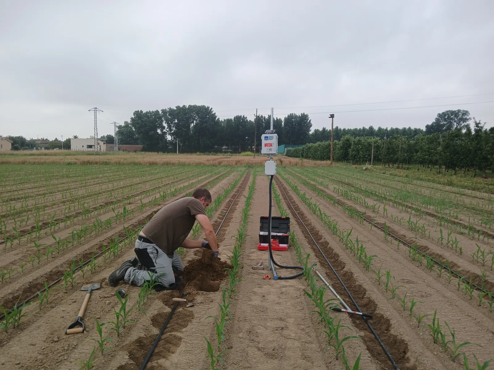 Técnico instalando la estación Smart Water Point junto a las líneas de cultivo