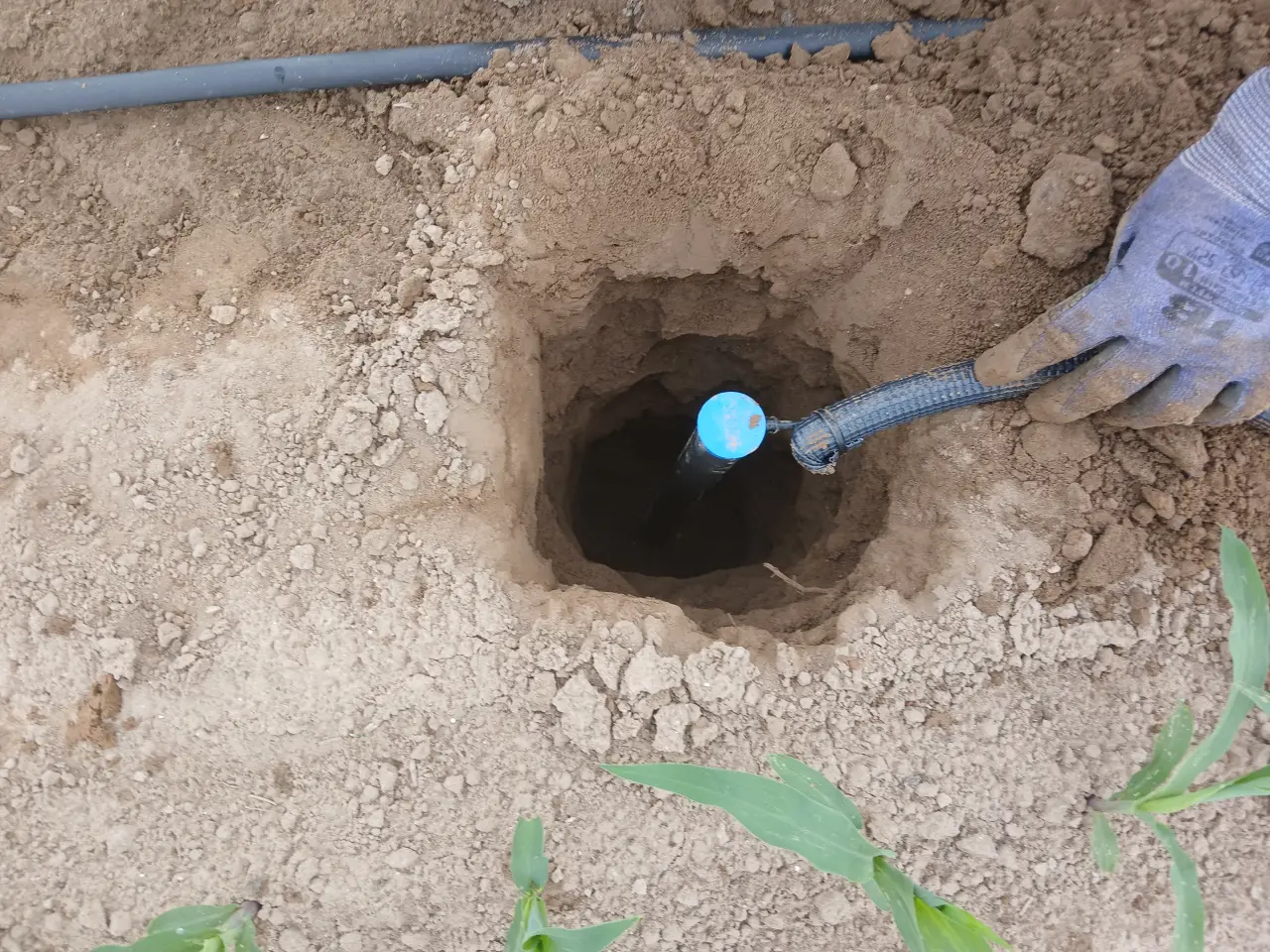 Sensor de humedad de suelo introducido en un hoyo junto a las plantas de maíz
