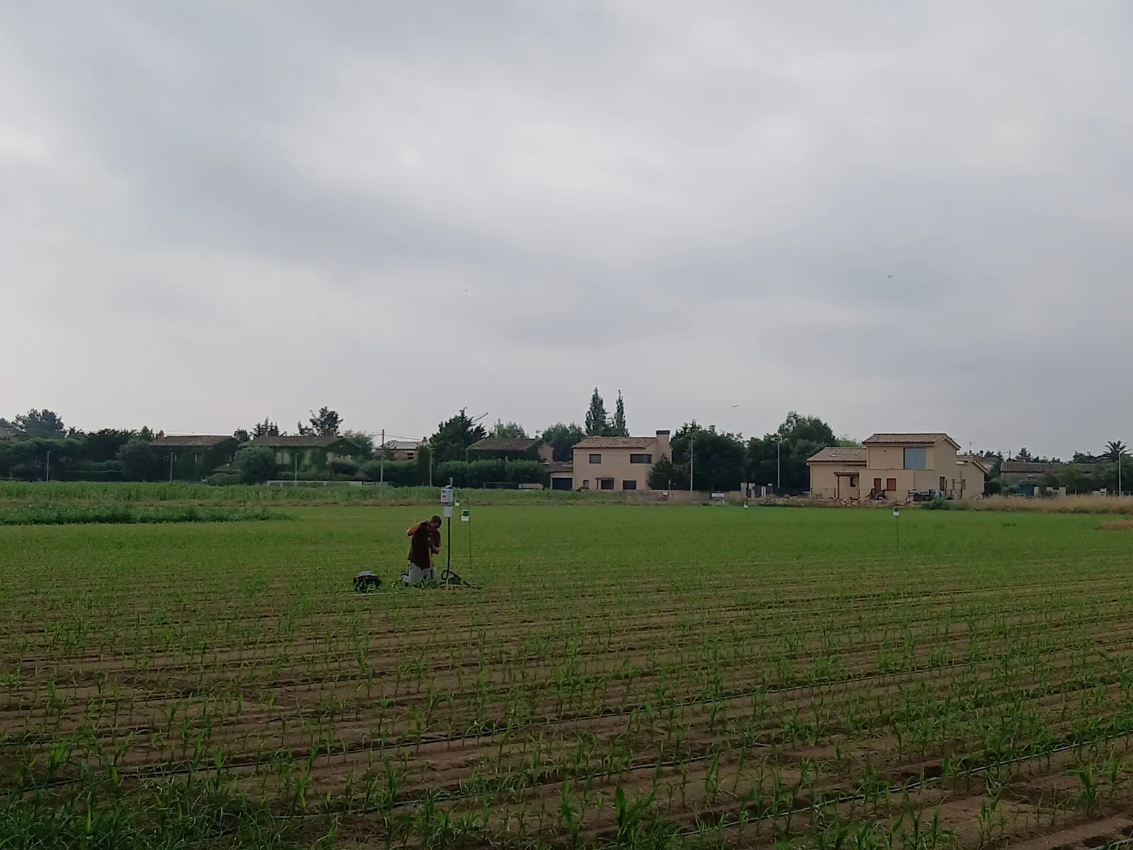 Vista de la parcela con el técnico trabajando y el núcleo urbano al fondo