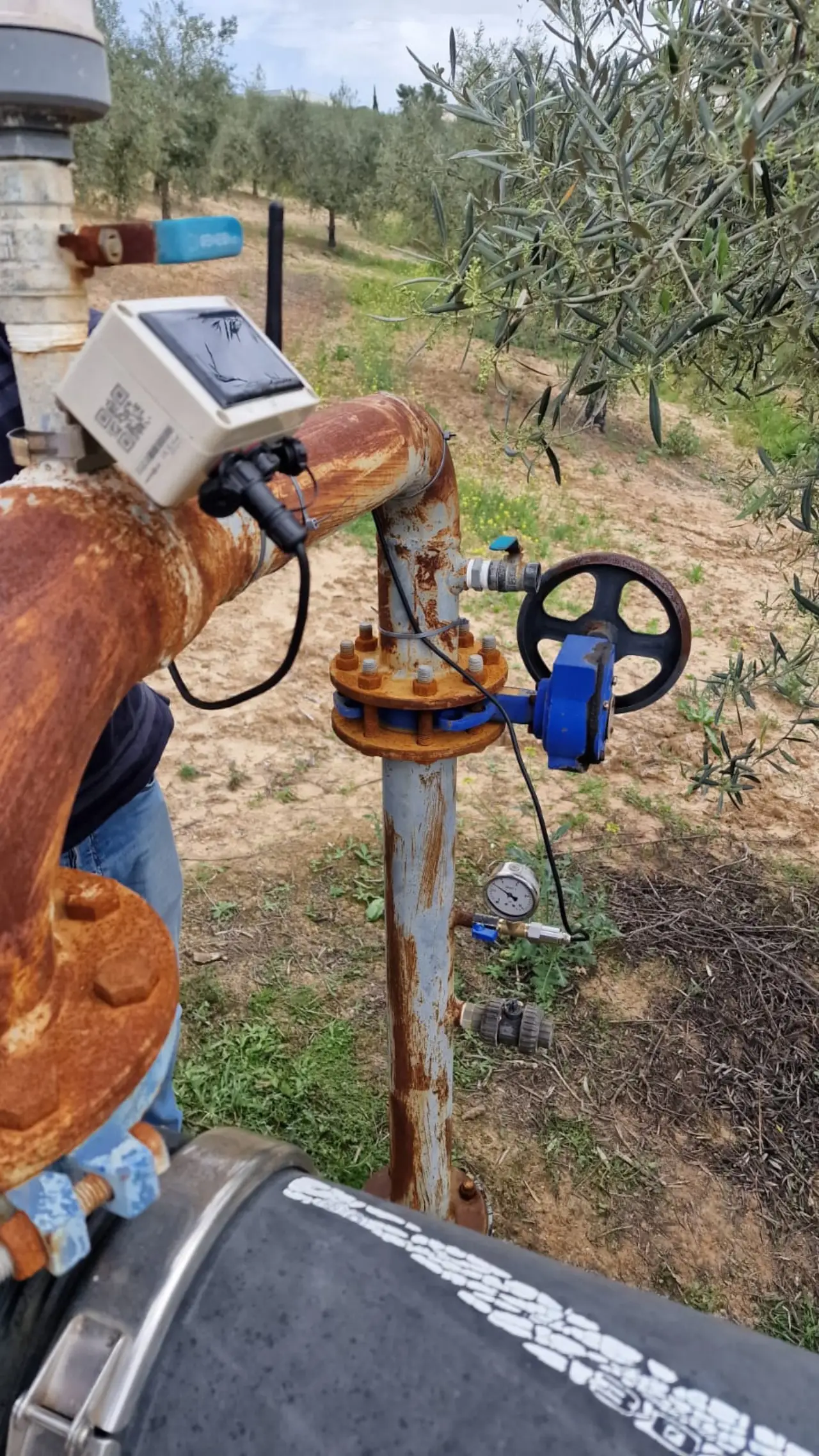 Válvula de esclusa y sensor Smart Water Point instalados en la tubería del olivar