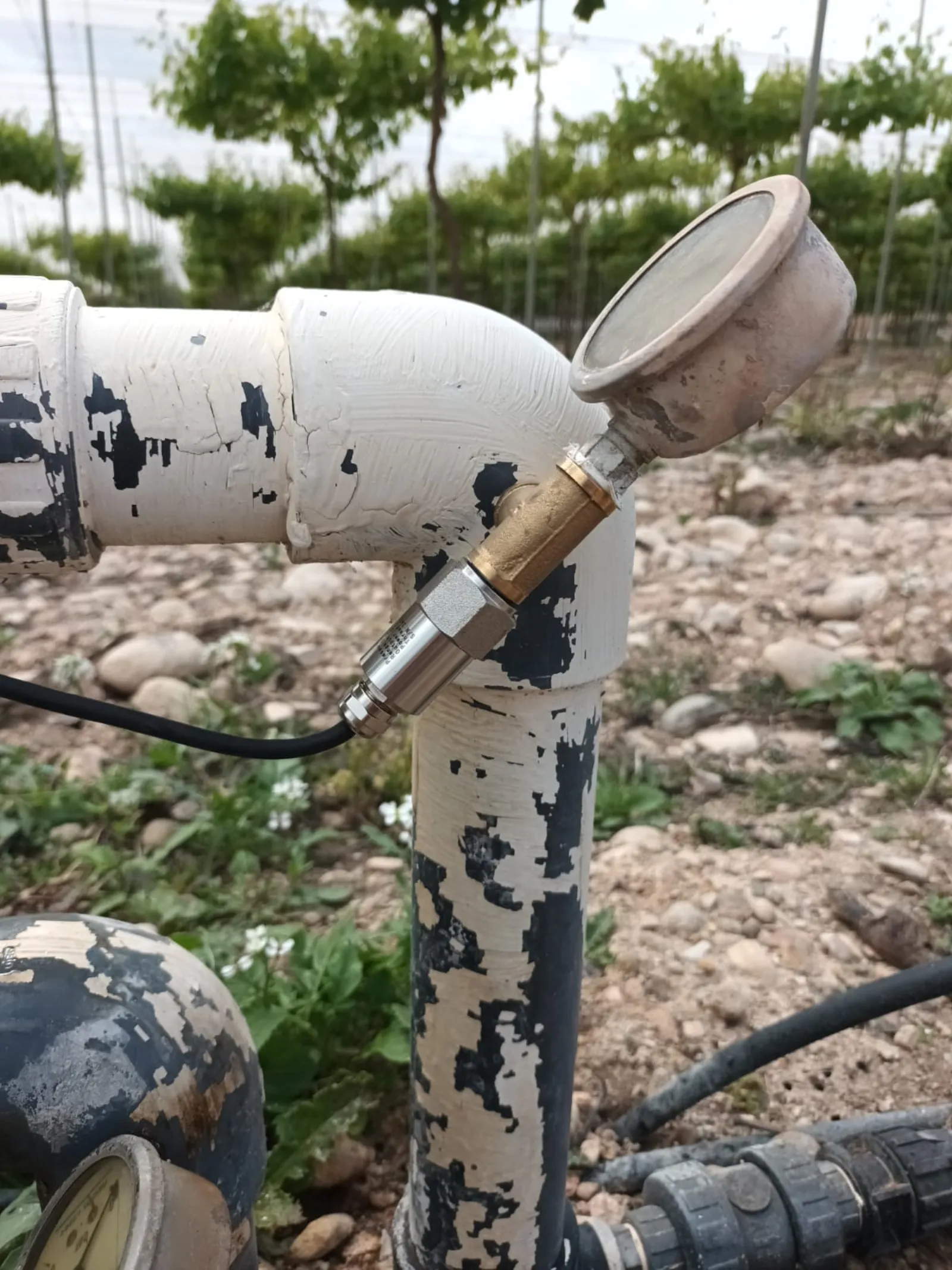 Sensor de presión instalado en un codo de la tubería de riego