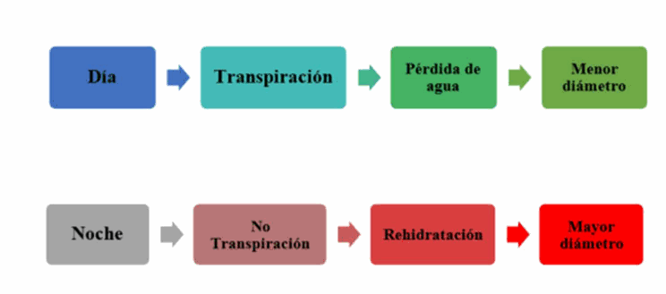 page-019-img-02.png