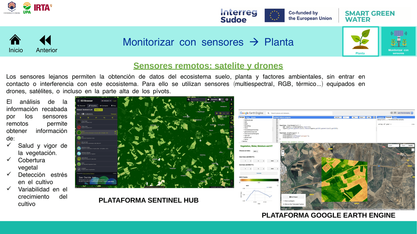 Sensores remotos: satélite y drones