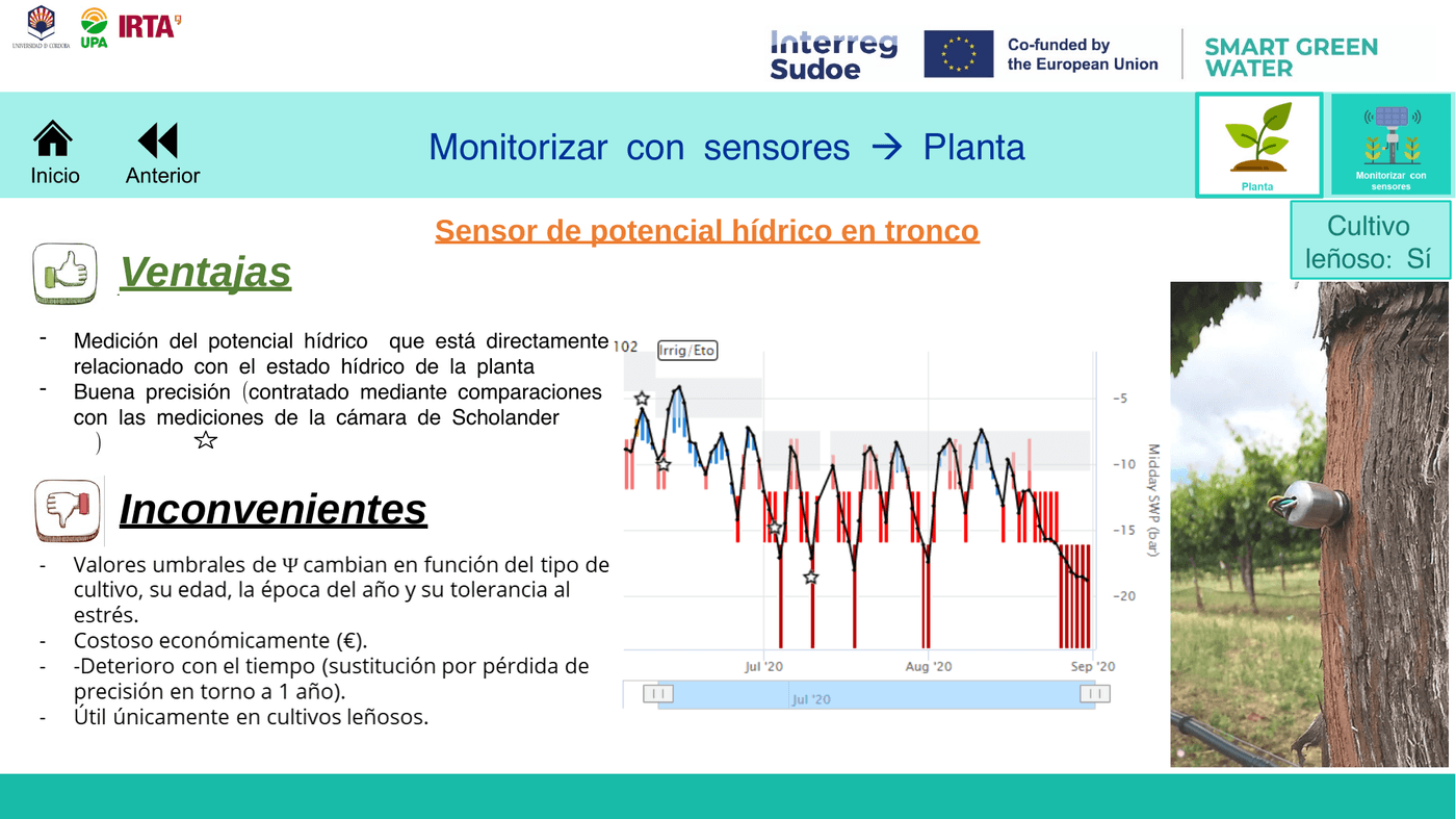 Potencial hídrico en tronco