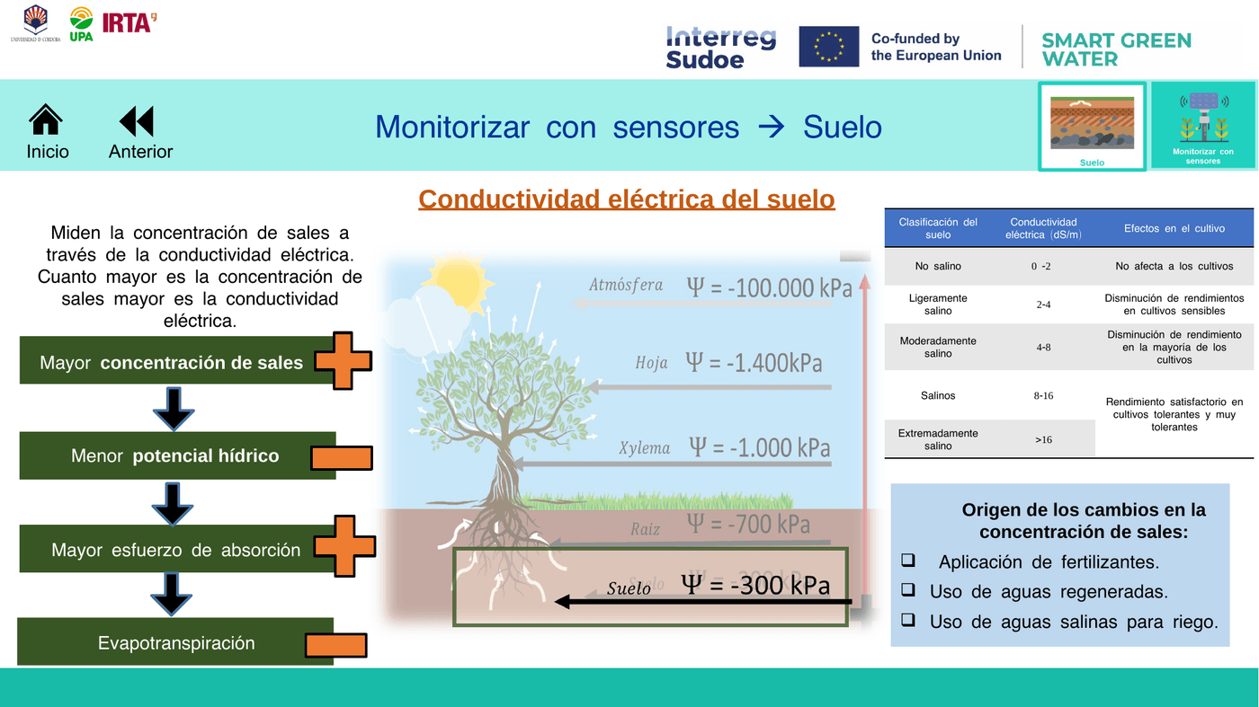 Conductividad eléctrica