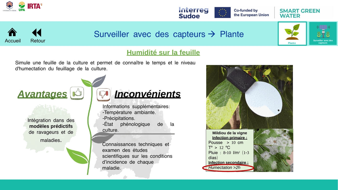 Capteur d'humidité foliaire