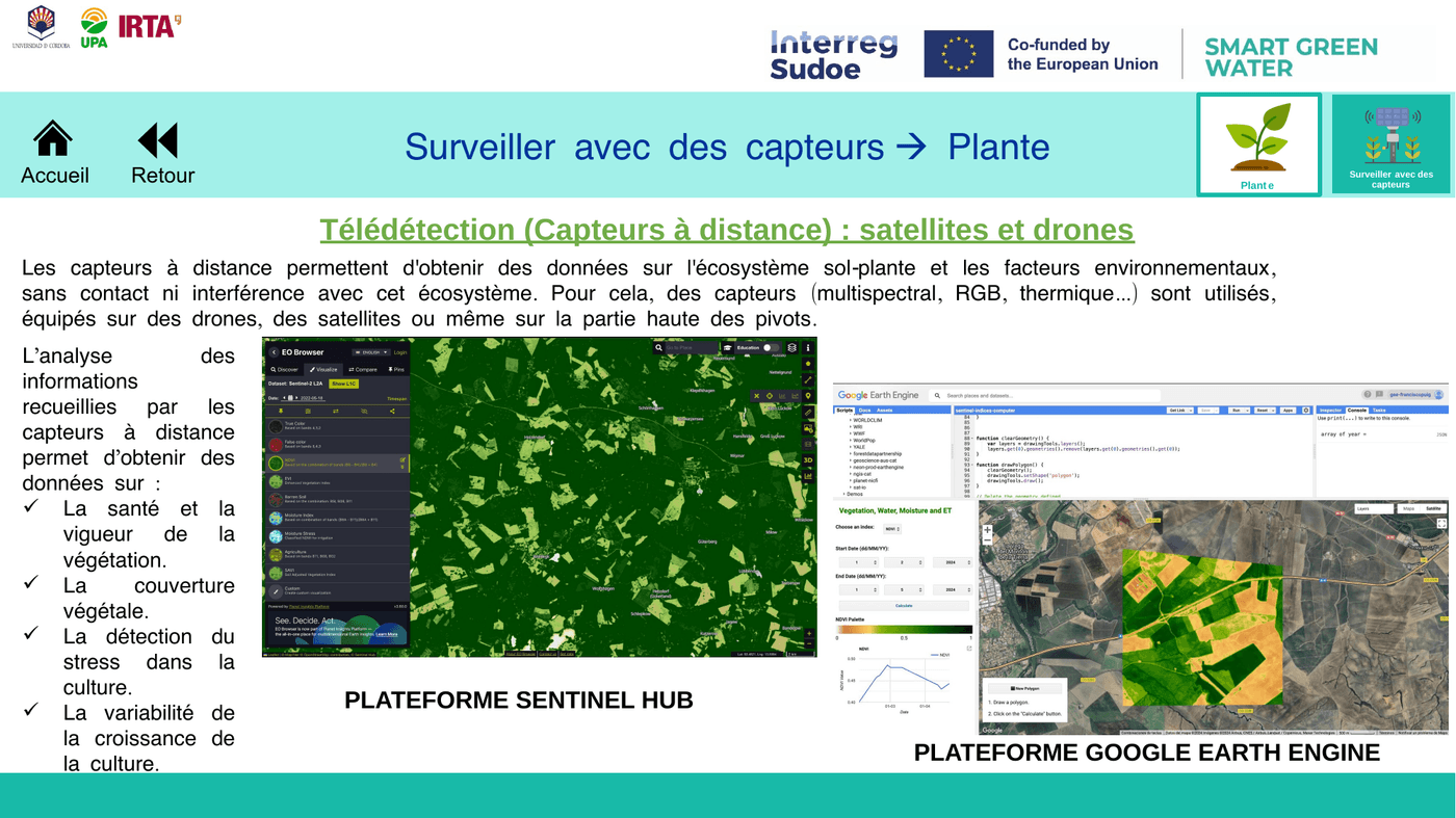 Capteurs à distance : satellite et drones