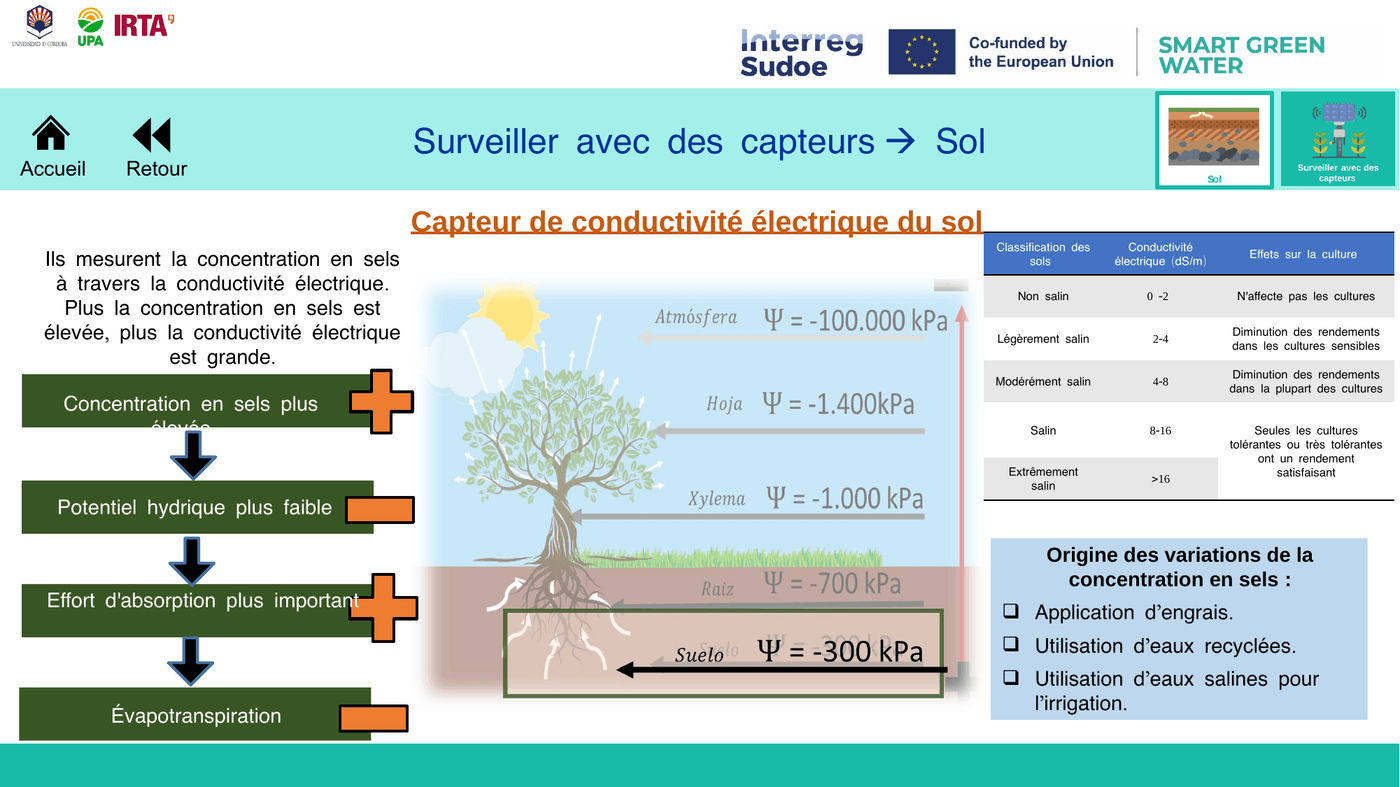 Conductivité électrique