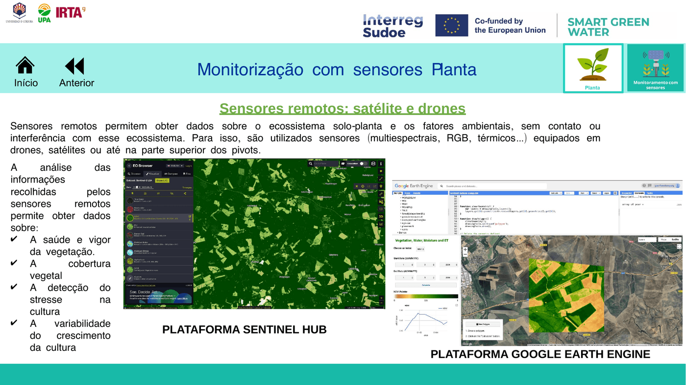 Sensores remotos: satélite e drones