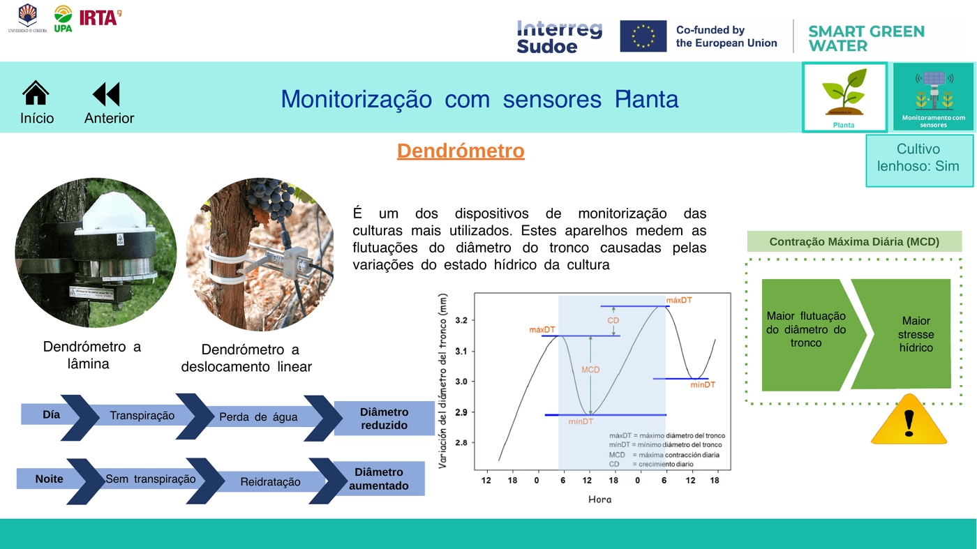 Dendrómetro