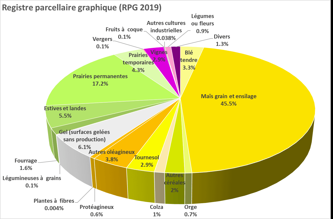 Registro parcelario gráfico (RPG) 2019 — distribución de los cultivos regados y no regados