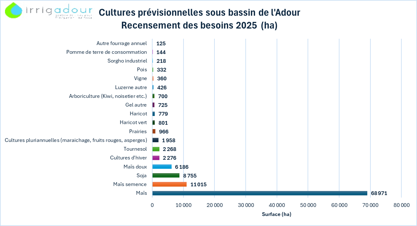 Cultivos previsionales en la subcuenca del Adour, censo de necesidades 2025 (ha)